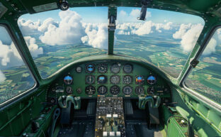 Flight Simulator